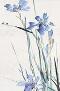 Ϸʼʤ黭Ʒ𼦱ר (4)