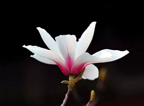 640.webp (1)
