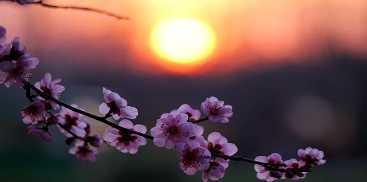 ��������չ�ذ���¯������һ���ʺ���~