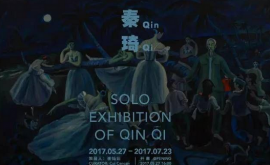 Qin Qiͬչ (5)