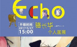 泤Echoͬչ (7)