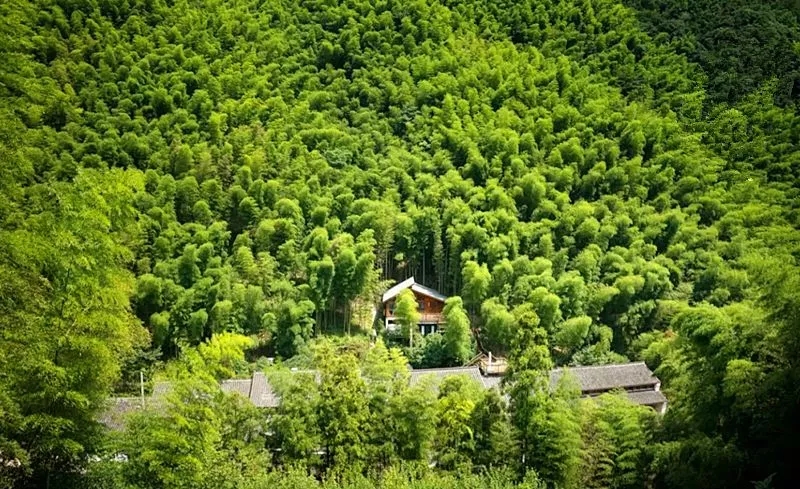 113.webp